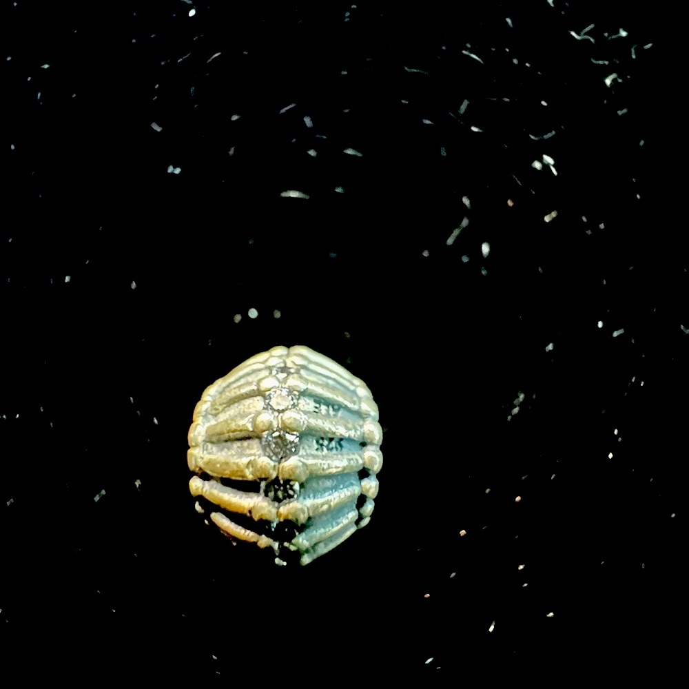 Pandora charm